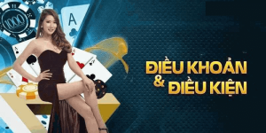 Điều Khoản và Điều Kiện aa88