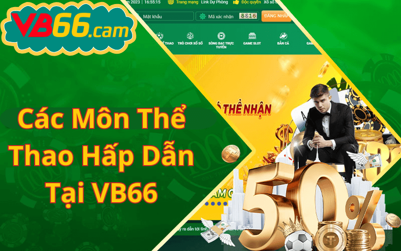 Tại sao chọn VB66?